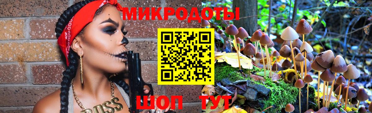 Сланцы  Галлюциногенные грибы GOLDEN TEACHER  Галлюциногенные грибы Cubensis  Вход с VPN 